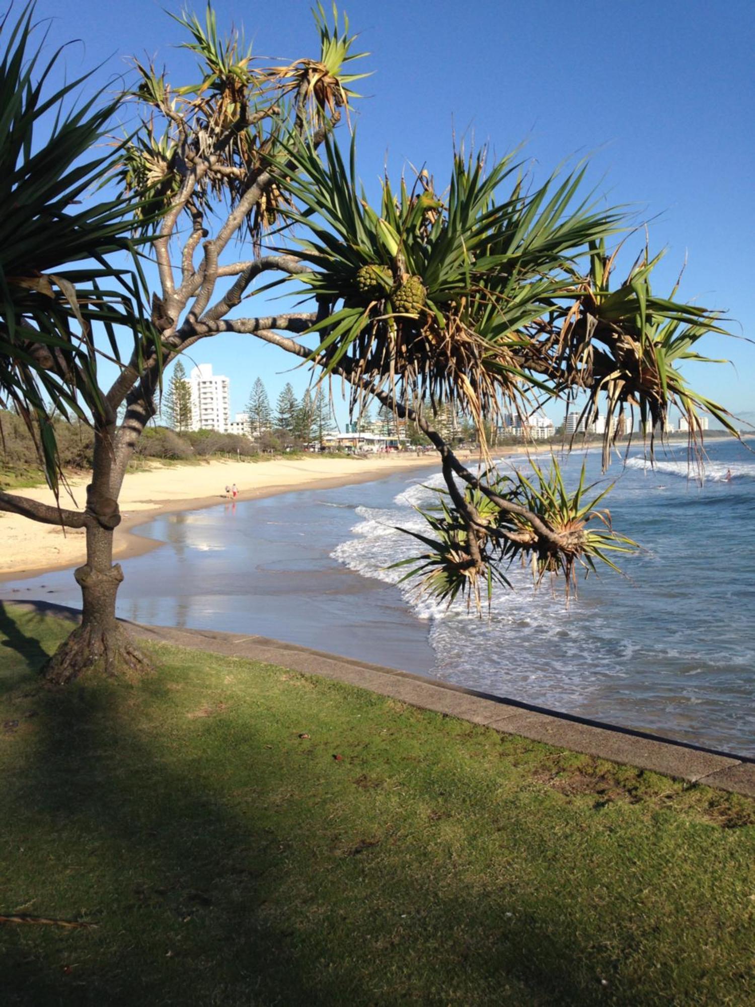 Grand Palais Beachside Resort Alexandra Headland Exterior foto